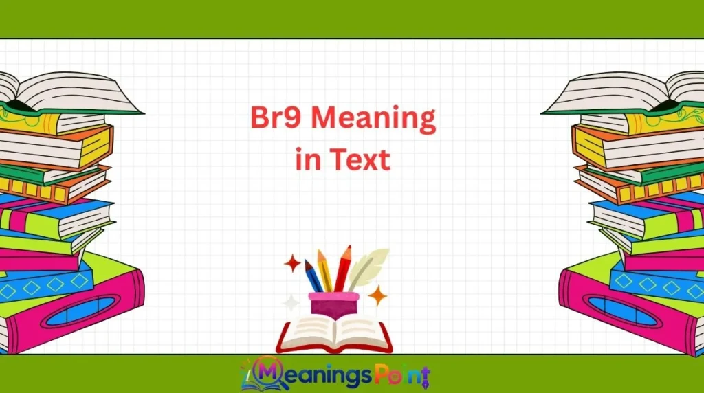 Br9 Meaning in Text