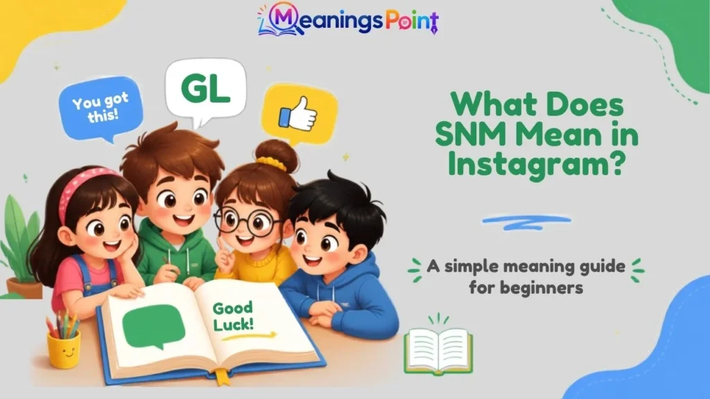 What Does SNM Mean in Instagram?