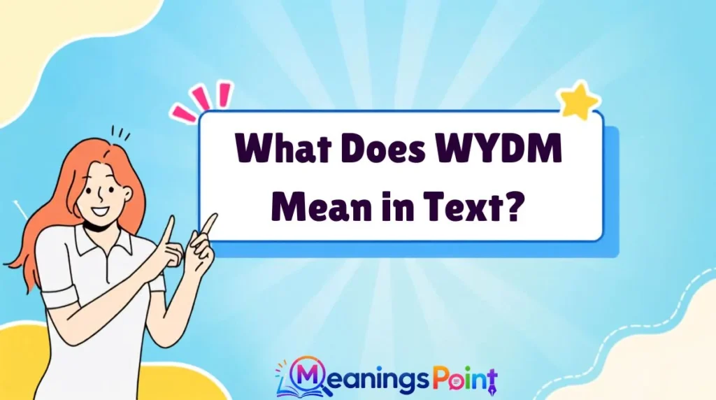 What Does WYDM Mean in Text?