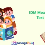 IDM Mean in Text