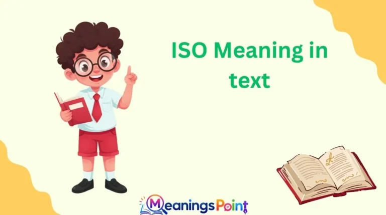 ISO Meaning in text
