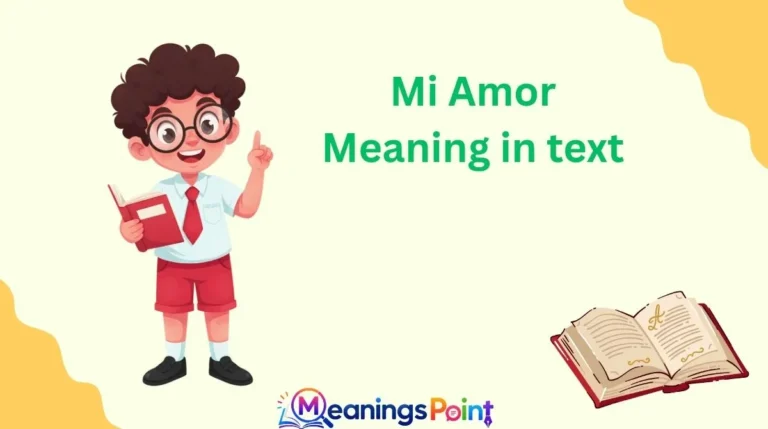 Mi Amor Meaning in text