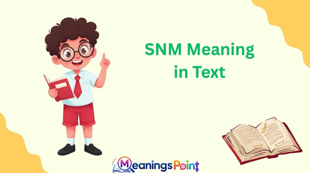 SNM Meaning in Text
