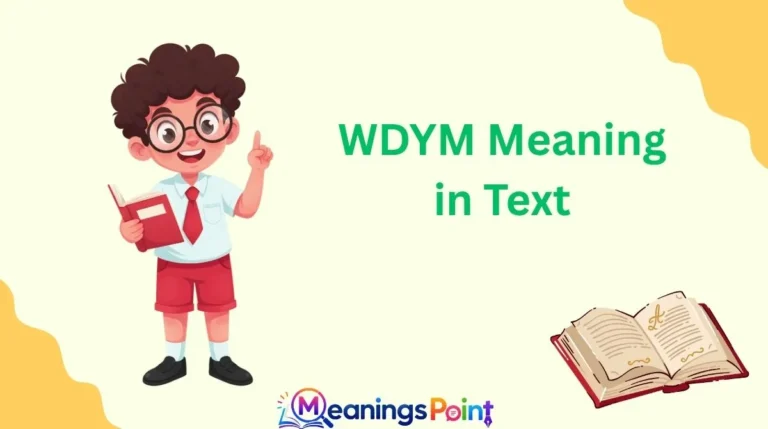 WDYM Meaning in Text