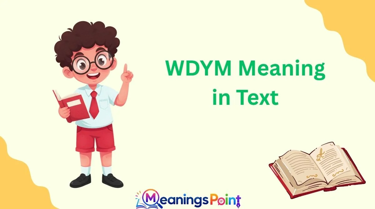 WDYM Meaning in Text